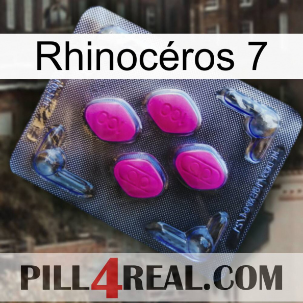 Rhinocéros 7 02